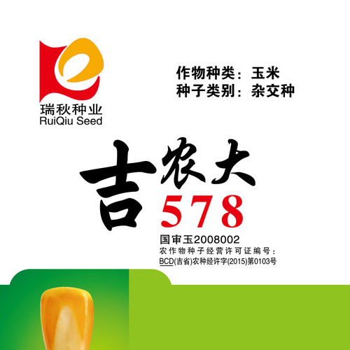 案例展示六